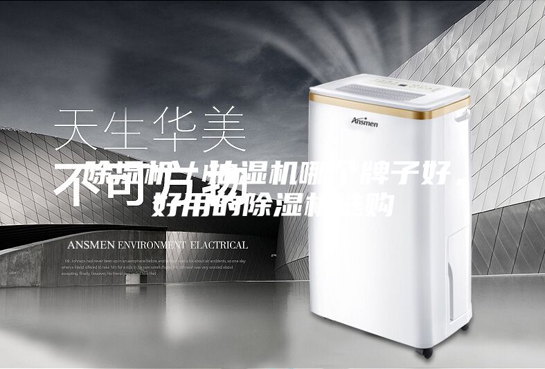 除濕機(jī)／抽濕機(jī)哪個牌子好，好用的除濕機(jī)選購