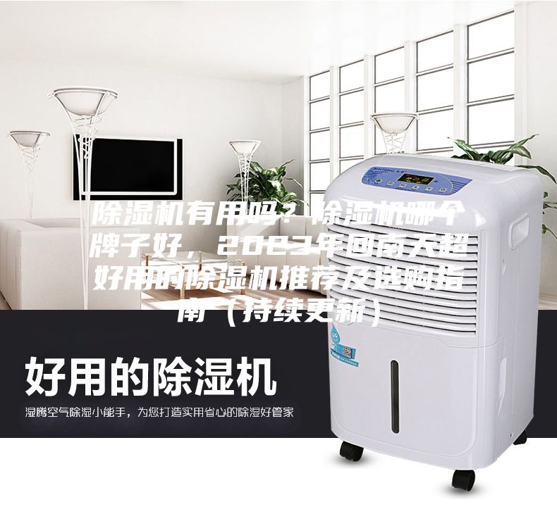 除濕機有用嗎？除濕機哪個牌子好，2023年回南天超好用的除濕機推薦及選購指南（持續更新）