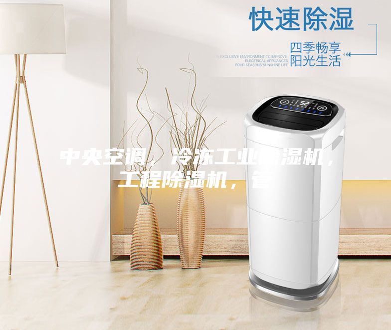 中央空調，冷凍工業除濕機，工程除濕機，管
