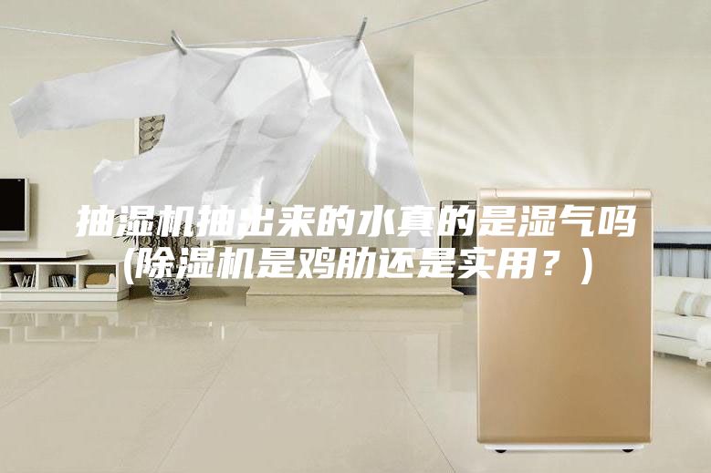 抽濕機抽出來的水真的是濕氣嗎(除濕機是雞肋還是實用？)