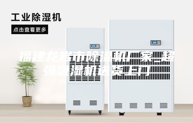 福建龍巖市除濕機(jī)廠家_超強(qiáng)吸濕機(jī)送貨上門(mén)