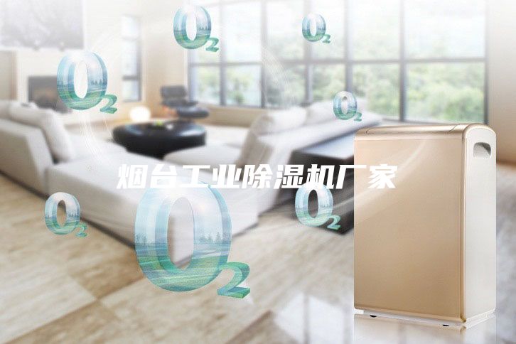 煙臺工業(yè)除濕機(jī)廠家