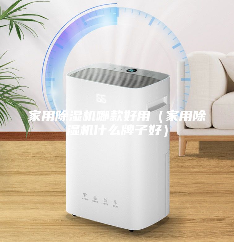 家用除濕機哪款好用（家用除濕機什么牌子好）