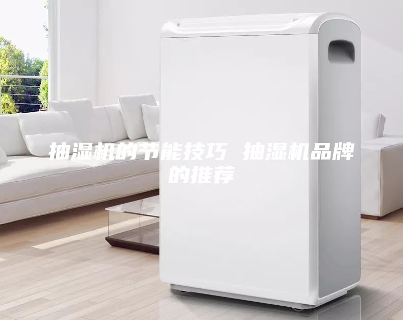 抽濕機的節能技巧 抽濕機品牌的推薦