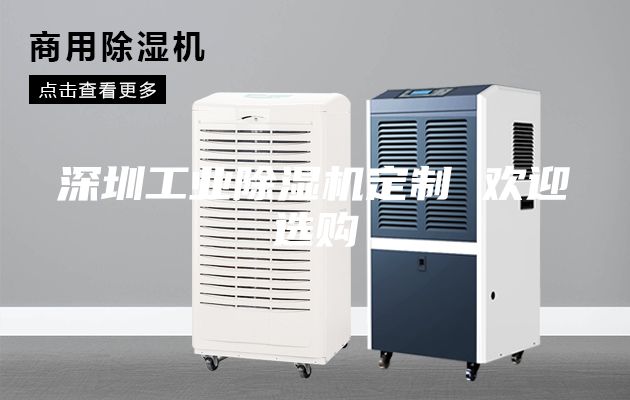 深圳工業(yè)除濕機(jī)定制 歡迎選購