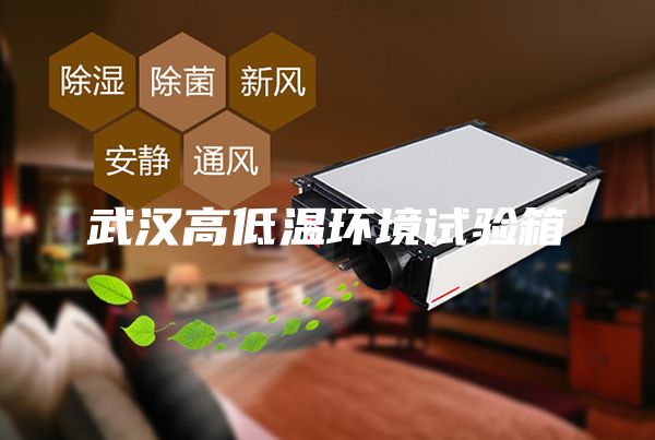 武漢高低溫環境試驗箱