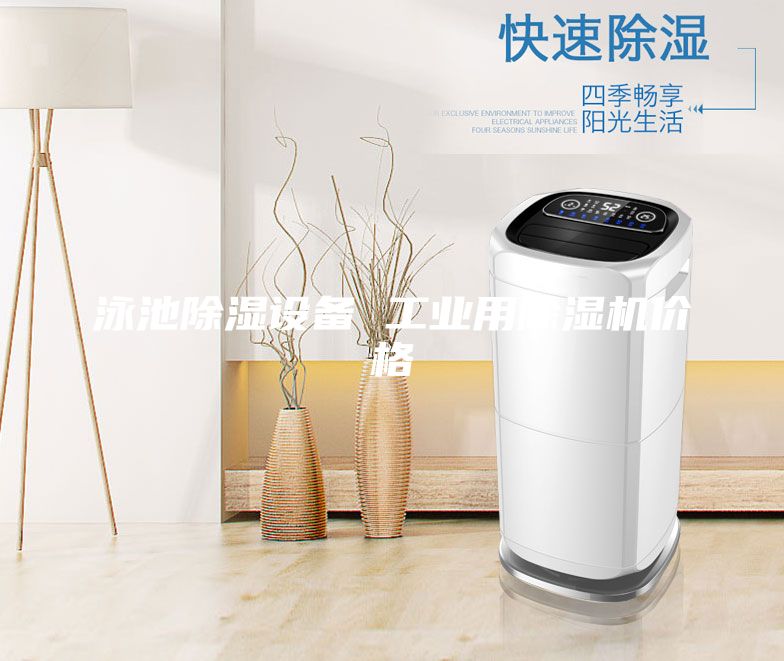 泳池除濕設備 工業(yè)用除濕機價格