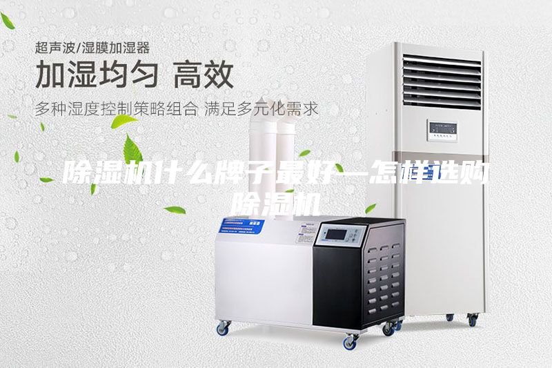除濕機什么牌子最好—怎樣選購除濕機