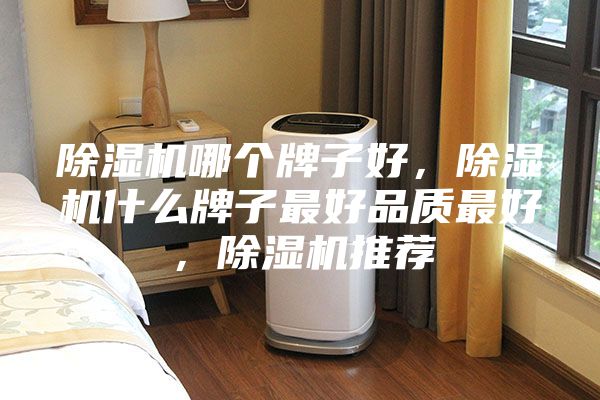 除濕機哪個牌子好，除濕機什么牌子最好品質最好，除濕機推薦