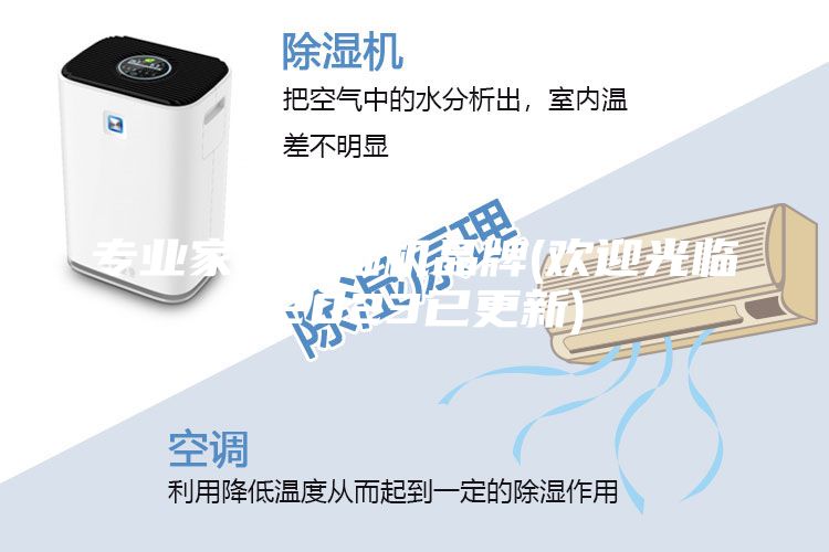 專業家用除濕機品牌(歡迎光臨-2023已更新)