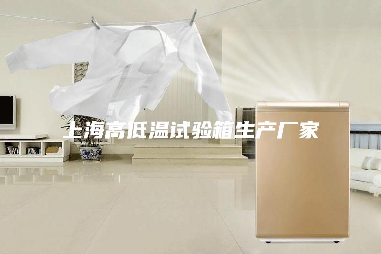 上海高低溫試驗箱生產廠家