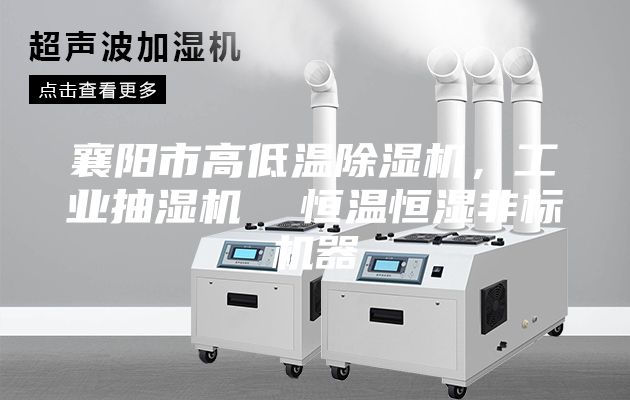 襄陽市高低溫除濕機，工業抽濕機  恒溫恒濕非標機器