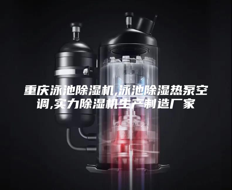 重慶泳池除濕機,泳池除濕熱泵空調,實力除濕機生產制造廠家