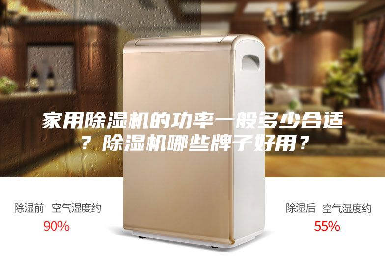 家用除濕機的功率一般多少合適？除濕機哪些牌子好用？