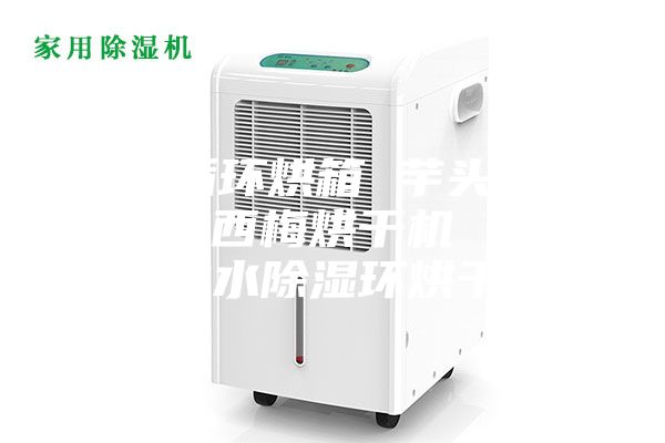 熱風(fēng)循環(huán)烘箱 芋頭條烘干機(jī) 西梅烘干機(jī) 芒果干脫水除濕環(huán)烘干機(jī)