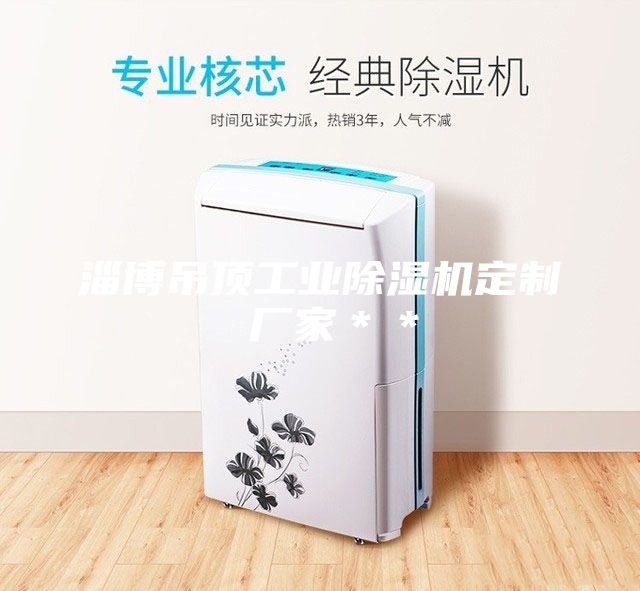 淄博吊頂工業除濕機定制 廠家＊＊