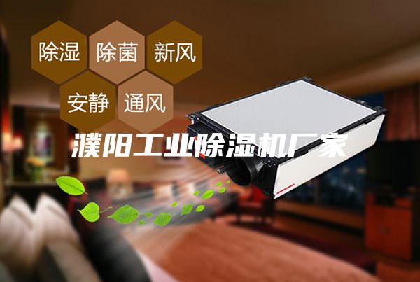 濮陽工業(yè)除濕機廠家