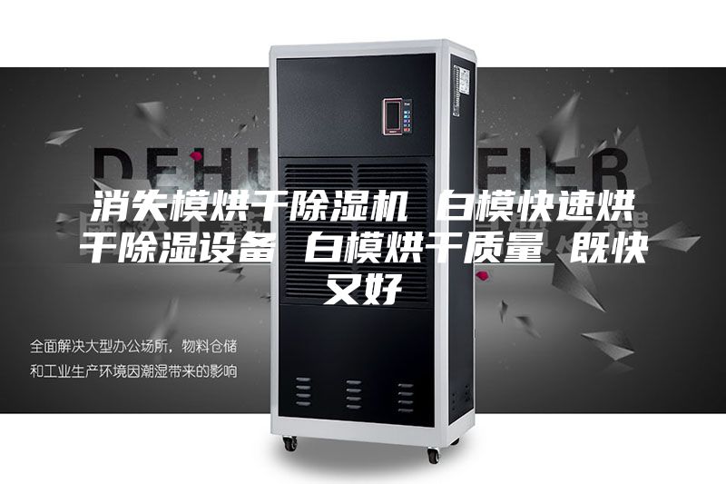消失模烘干除濕機 白?？焖俸娓沙凉裨O備 白模烘干質量 既快又好