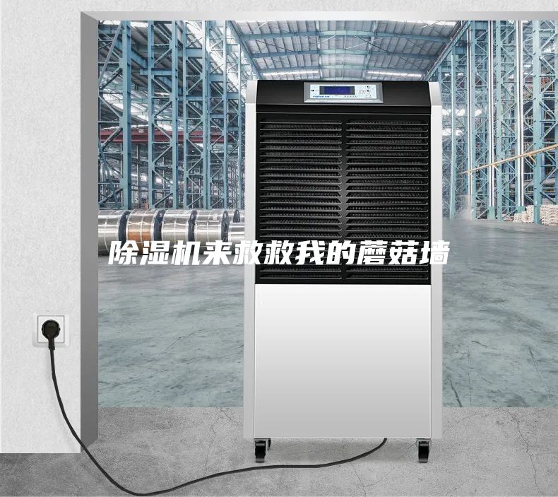 除濕機(jī)來救救我的蘑菇墻