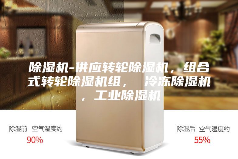 除濕機-供應轉(zhuǎn)輪除濕機，組合式轉(zhuǎn)輪除濕機組， 冷凍除濕機，工業(yè)除濕機