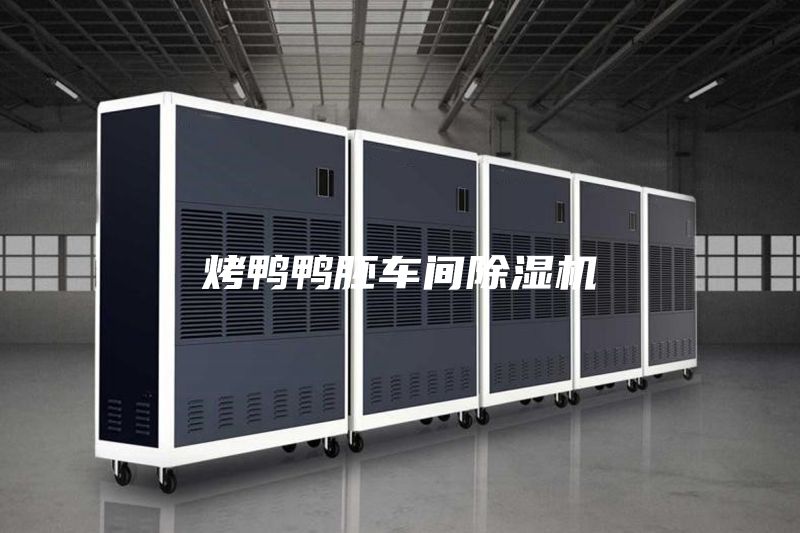 烤鴨鴨胚車間除濕機(jī)