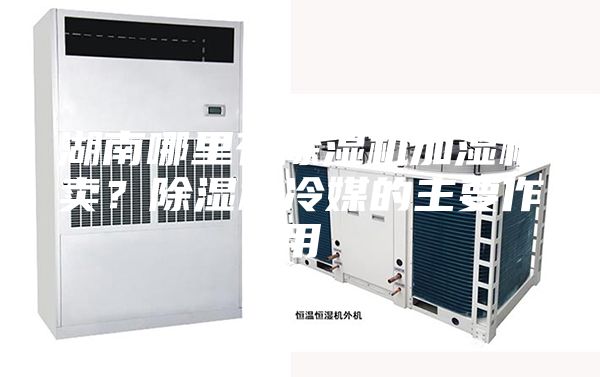 湖南哪里有除濕機加濕機賣？除濕機冷媒的主要作用