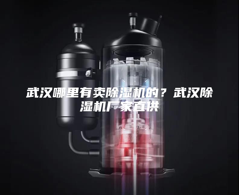 武漢哪里有賣除濕機的？武漢除濕機廠家直供