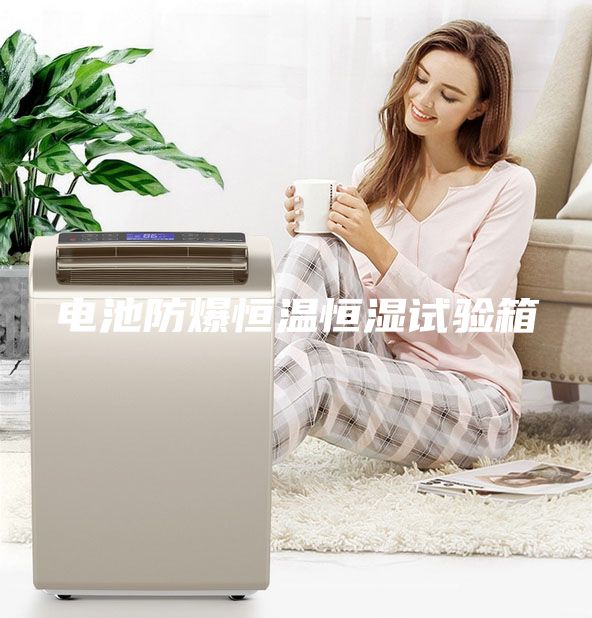 電池防爆恒溫恒濕試驗(yàn)箱