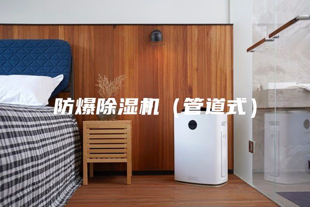 防爆除濕機(jī)（管道式）
