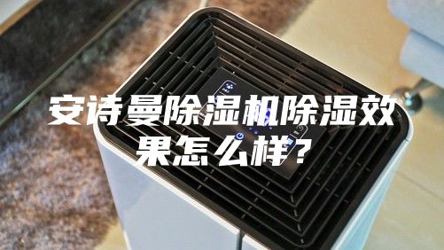 安詩(shī)曼除濕機(jī)除濕效果怎么樣？