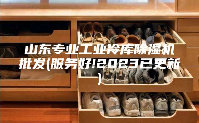 山東專業(yè)工業(yè)冷庫除濕機批發(fā)(服務好!2023已更新)