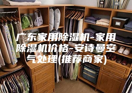 廣東家用除濕機(jī)-家用除濕機(jī)價(jià)格-安詩曼空氣處理(推薦商家)