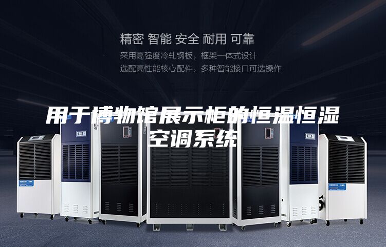 用于博物館展示柜的恒溫恒濕空調系統