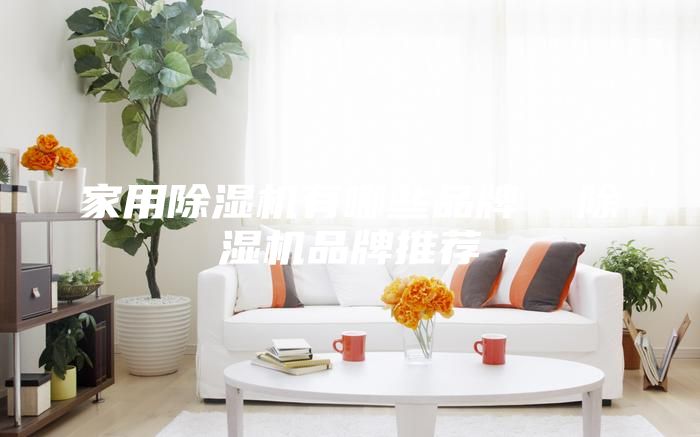 家用除濕機(jī)有哪些品牌  除濕機(jī)品牌推薦