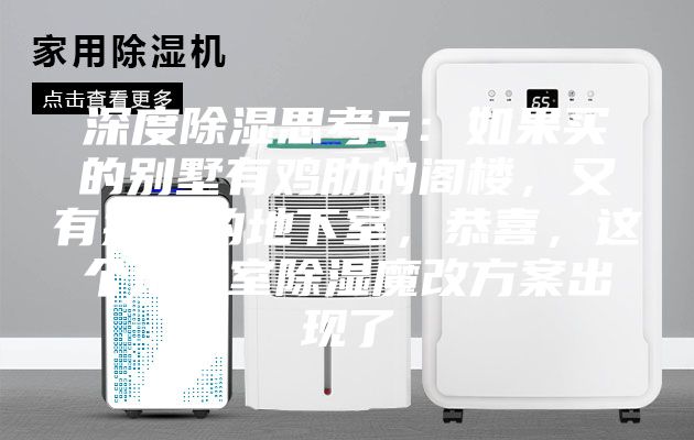 深度除濕思考5：如果買的別墅有雞肋的閣樓，又有操心的地下室，恭喜，這個地下室除濕魔改方案出現了