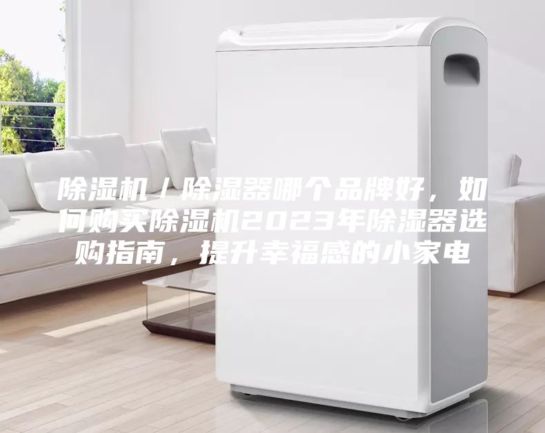 除濕機(jī)／除濕器哪個(gè)品牌好，如何購(gòu)買除濕機(jī)2023年除濕器選購(gòu)指南，提升幸福感的小家電