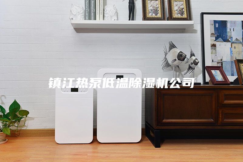 鎮(zhèn)江熱泵低溫除濕機公司