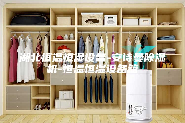 湖北恒溫恒濕設(shè)備-安詩曼除濕機(jī)-恒溫恒濕設(shè)備箱