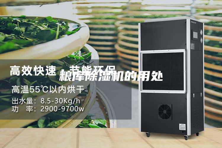 糧庫除濕機(jī)的用處