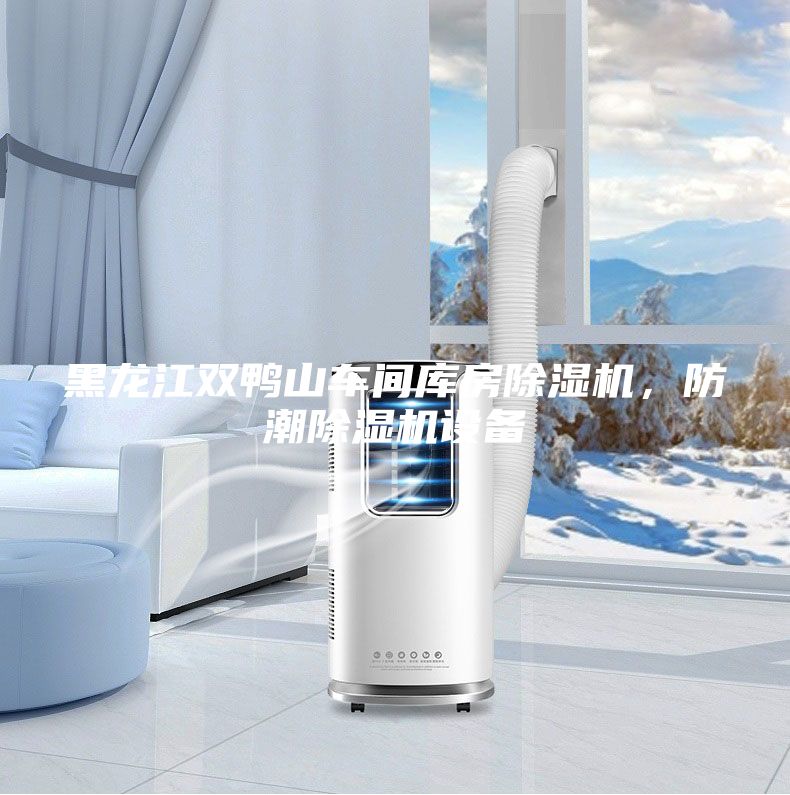 黑龍江雙鴨山車(chē)間庫(kù)房除濕機(jī),防潮除濕機(jī)設(shè)備