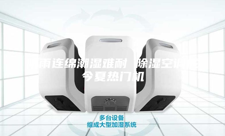 陰雨連綿潮濕難耐 除濕空調成今夏熱門機