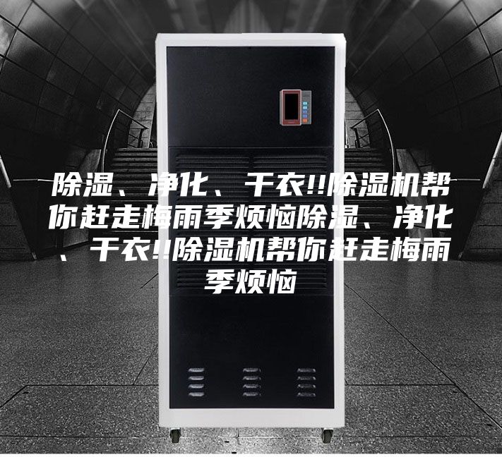 除濕、凈化、干衣!!除濕機幫你趕走梅雨季煩惱除濕、凈化、干衣!!除濕機幫你趕走梅雨季煩惱