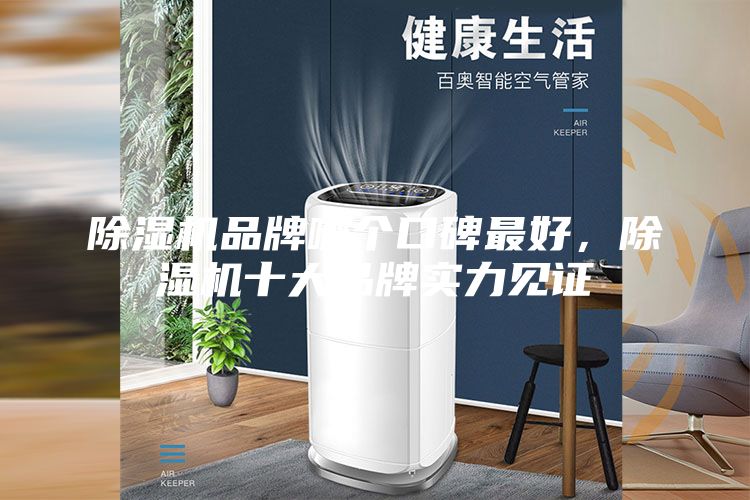 除濕機品牌哪個口碑最好，除濕機十大品牌實力見證