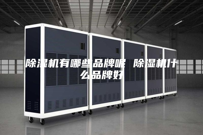 除濕機(jī)有哪些品牌呢 除濕機(jī)什么品牌好