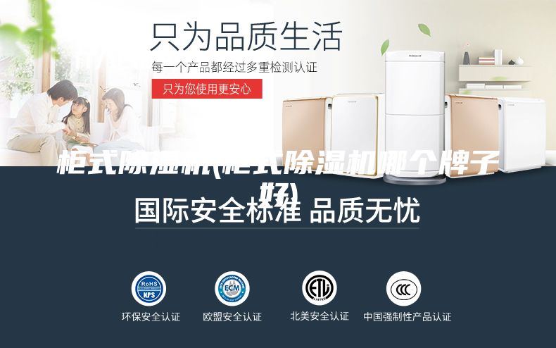 柜式除濕機(jī)(柜式除濕機(jī)哪個(gè)牌子好)