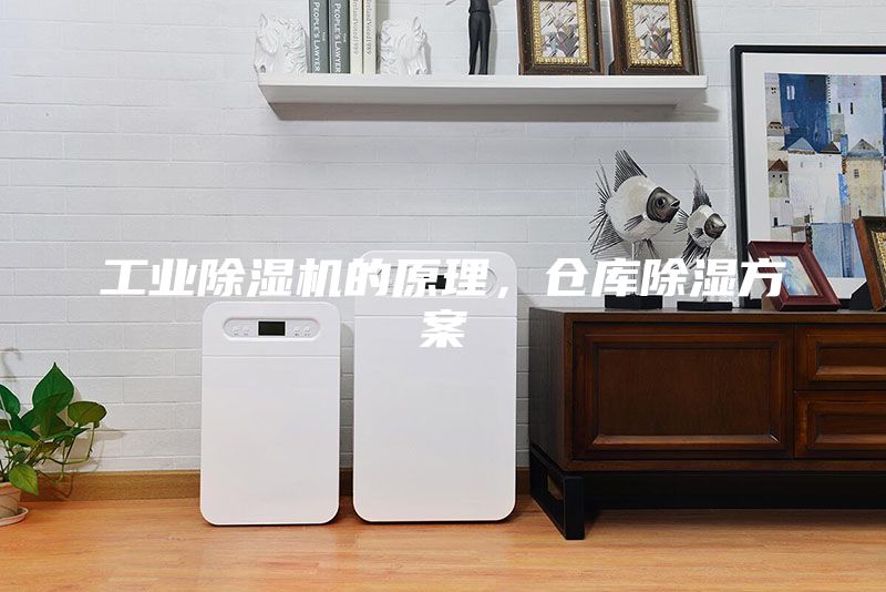 工業(yè)除濕機的原理，倉庫除濕方案