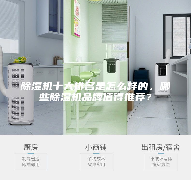 除濕機十大排名是怎么樣的，哪些除濕機品牌值得推薦？