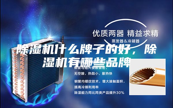 除濕機(jī)什么牌子的好，除濕機(jī)有哪些品牌