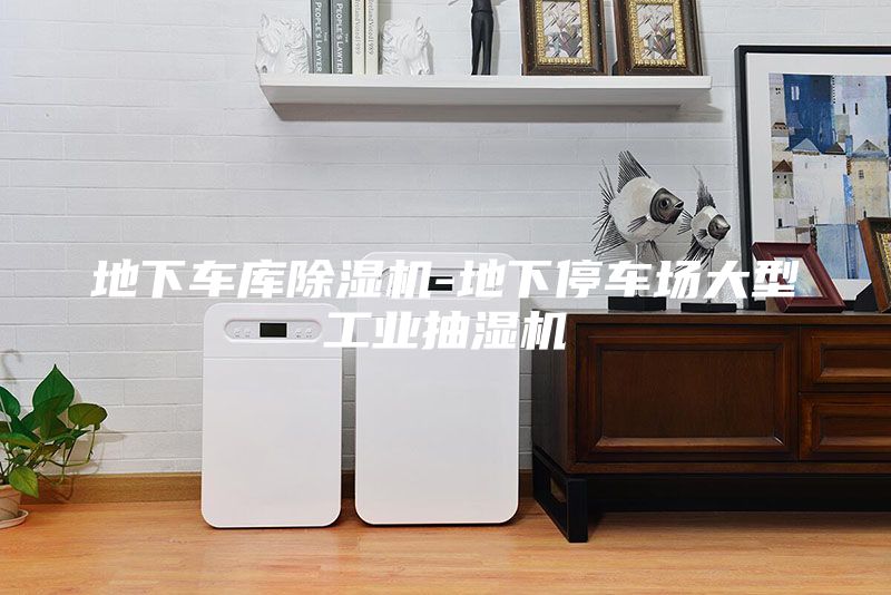 地下車庫除濕機-地下停車場大型工業(yè)抽濕機