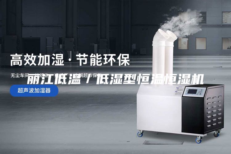 麗江低溫/低濕型恒溫恒濕機